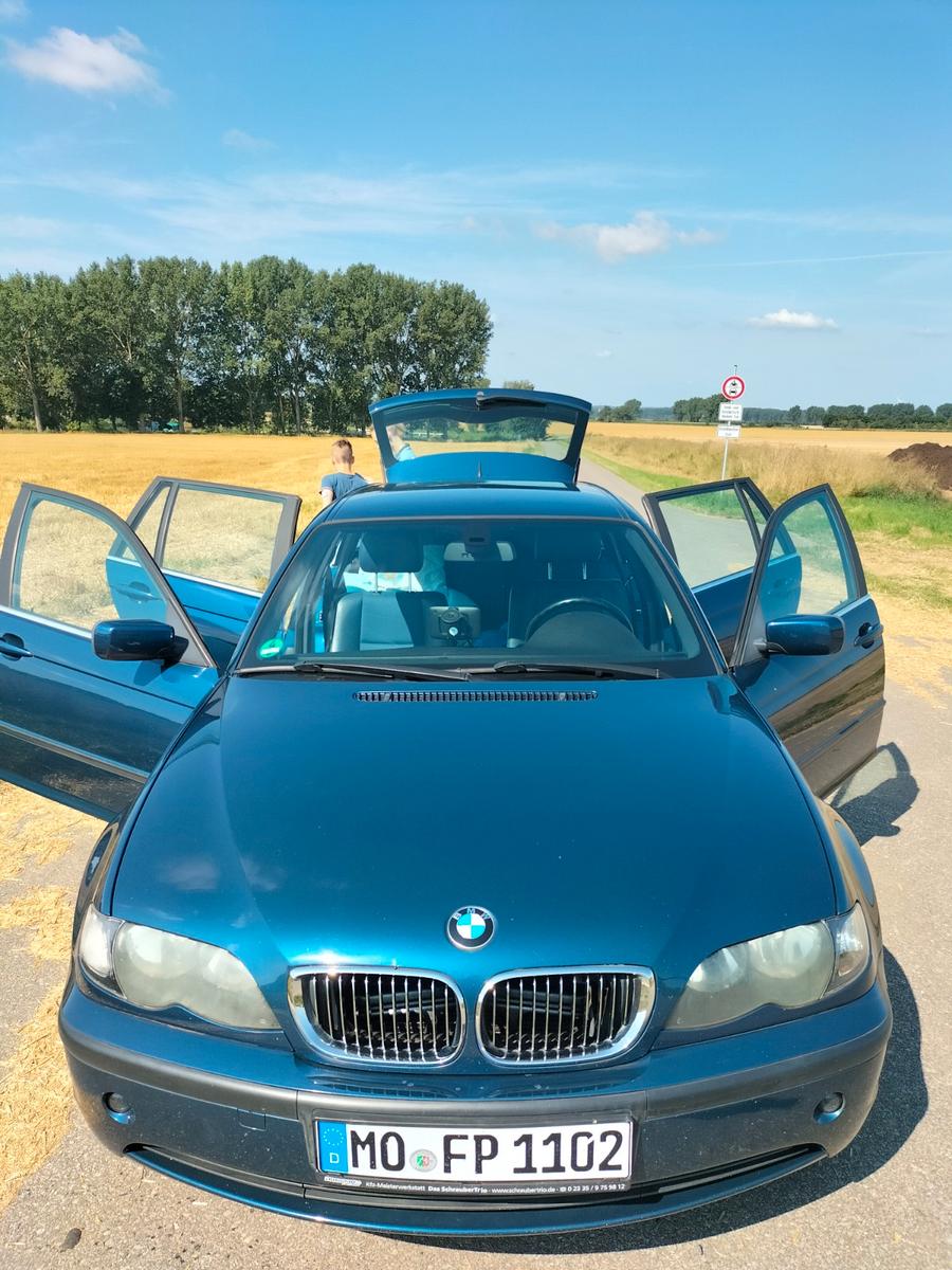 BMW 318 2004 — interior