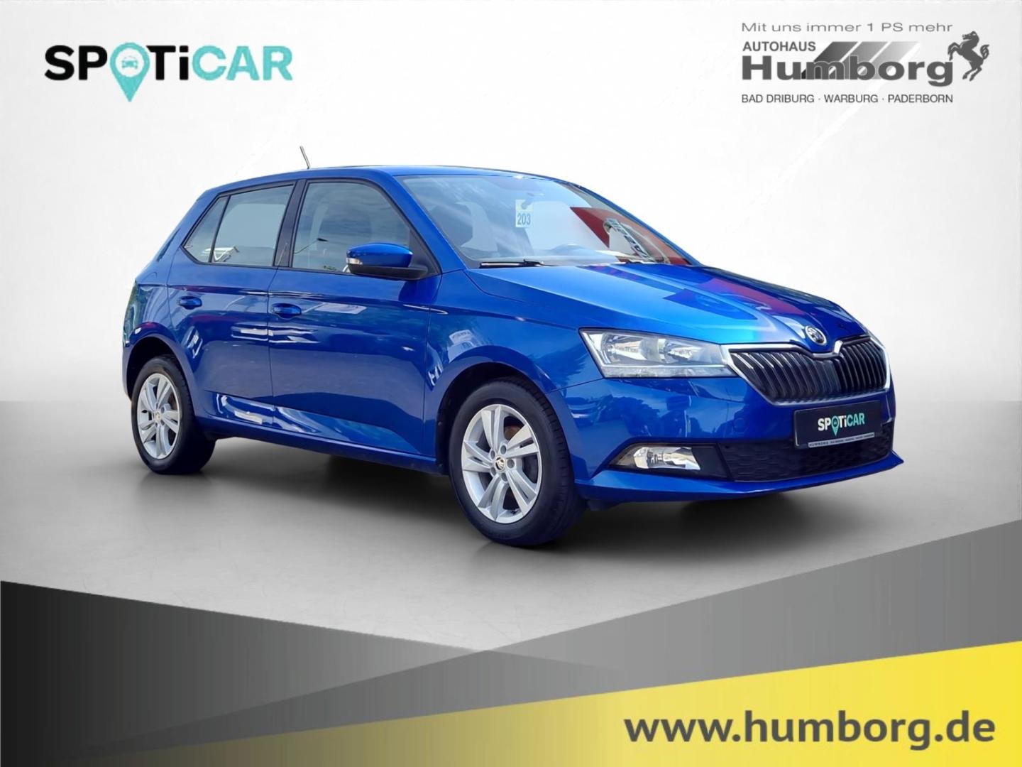 Skoda Fabia 1.0 TSI Ambition Green SHZ Kamera Sperrdif