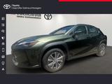 Lexus UX 300 e Executive Pak+Komfort Paket Plus+Winter - Lexus Elektroautos