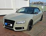 Audi S5 3.0 TFSI S tronic quattro Cabriolet/foliert - gebrauchte Audi S5 aus dem Jahr 2010