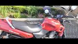 Honda CB 500 - HONDA 1996 CB500