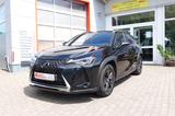 Lexus UX 250h Launch Standheizung 3J Garantie - Lexus aus 2019