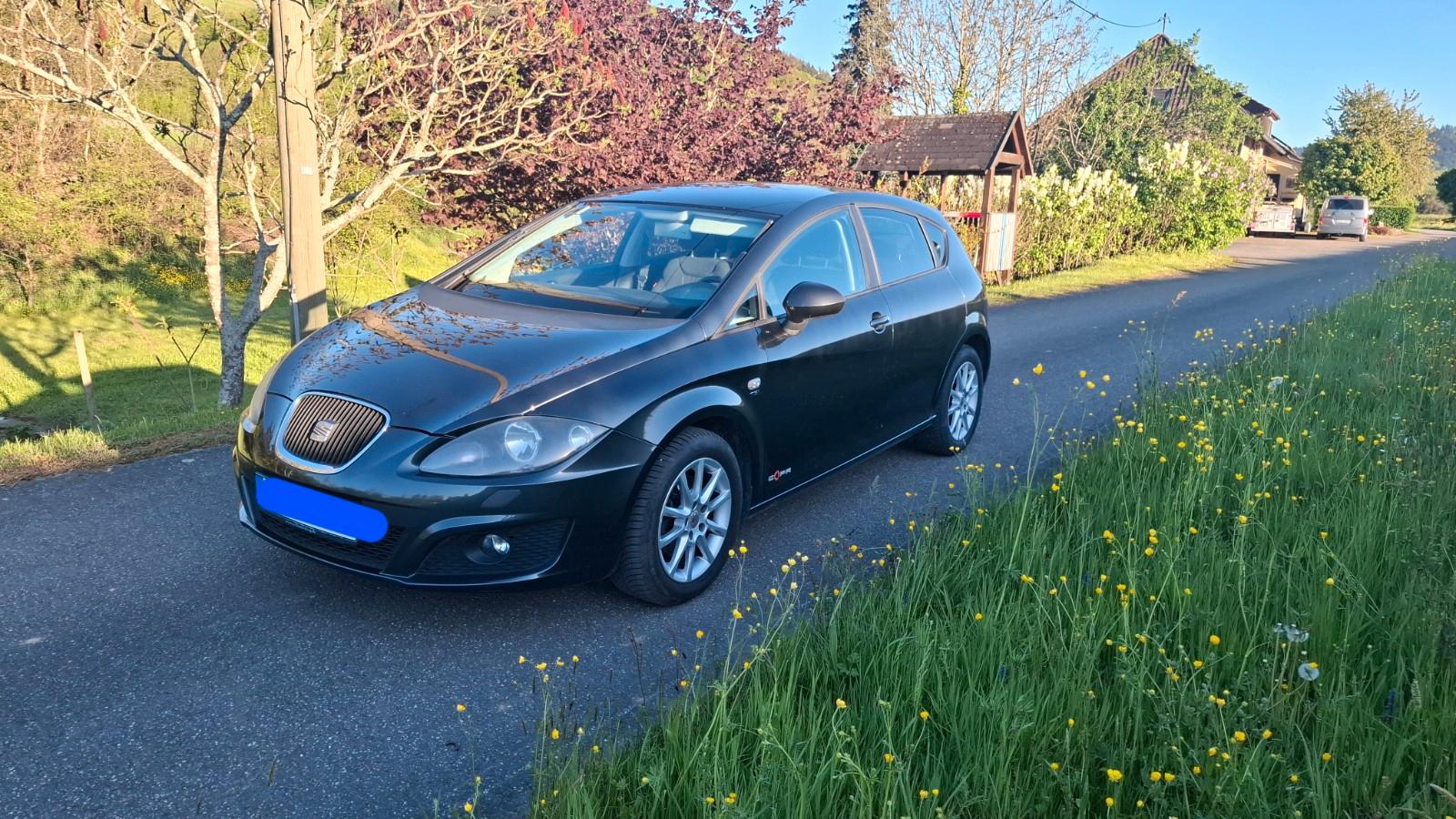 Seat Leon Style Copa Werkstattgeplegt Neue Kette usw.