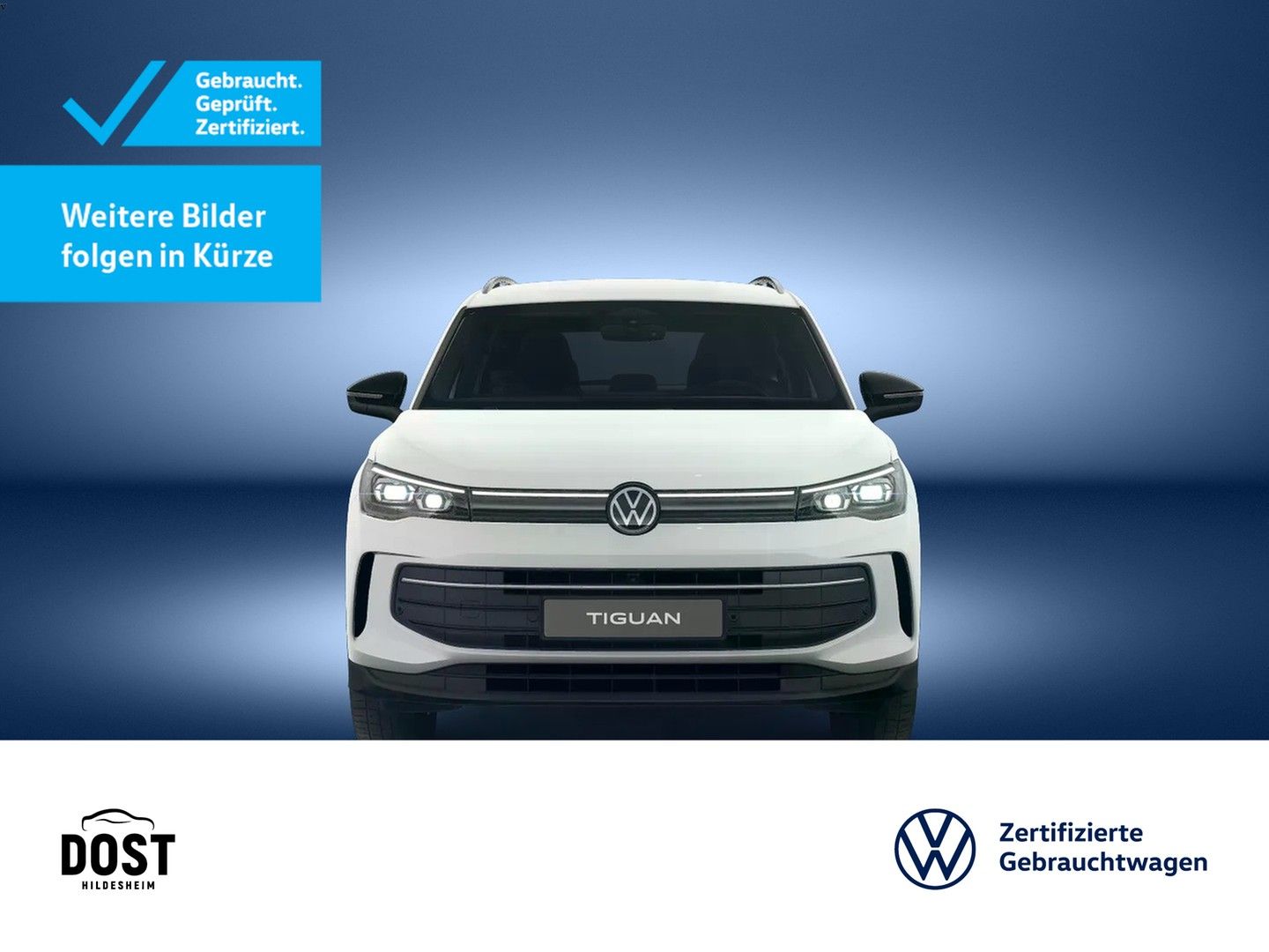 Volkswagen Tiguan Life Goal 2.0 TDI DSG MATRIX-LED AreaView foto 3