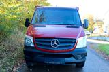 Mercedes-Benz Sprinter 310 Cold Car 5+5 Türen -33°C ATP 06/28 - Angebote entsprechen deinen Suchkriterien
