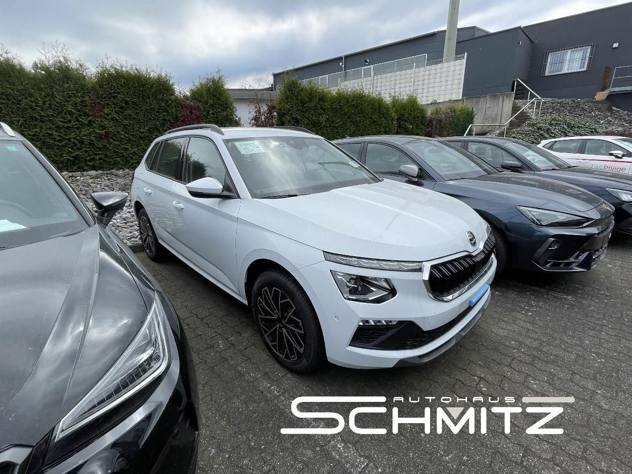 Skoda KAMIQ TOUR 1,5 TSI DSG (SOFORT!!) DAB+ A  [...]