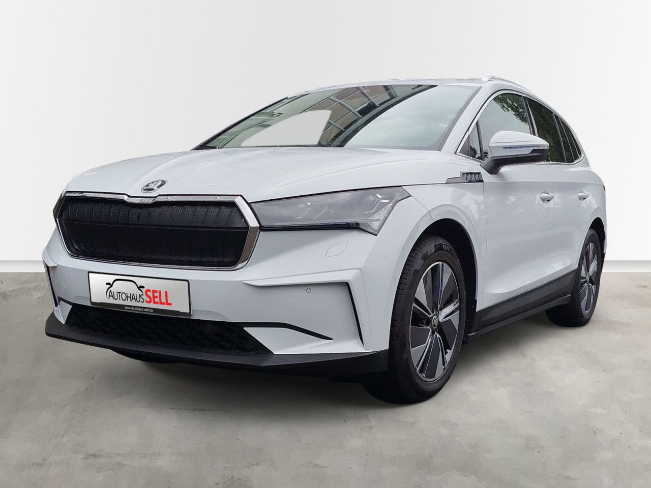 Fahrzeugabbildung SKODA Enyaq 80X ENYAQ iV 80X 195/82 E1A