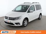 Volkswagen Caddy 2.0 TDI Comfortline BMT*XENON*ACC*PDC*SHZ* - VW Caddy Gebrauchtwagen in Stuttgart