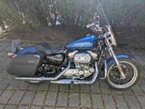 Harley-Davidson Superlow XL883L | Superior Blue | 1. Hand | TÜV  - Offers