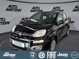 Fiat Panda Pandina 1.0 GSE Hybrid 48 kW Icon - Fiat Panda Jahreswagen
