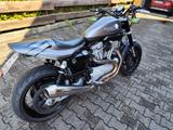 Harley-Davidson Xr 1200 - HARLEY-DAVIDSON XR 1200