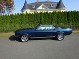 Ford Mustang GT Cabrio 6,4 ltr. Top Restauriert - Ford Mustang aus 1967 mit Benzin-Antrieb: Cabrio