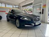 Jaguar JAGUAR XF 2.2 D LUXURY AUT. SOLO 120.000KM - Jaguar: 12