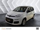 Fiat Panda 1.2 ''Easy'' Klima CD-Mp3 Zentralverriegel - Fiat Panda Gebrauchtwagen in Stuttgart