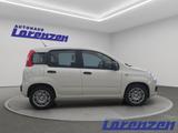 Fiat Panda 1.0 70PS Klima DAB Spurhalteass. Verkehrsz - Fiat Panda aus 2025