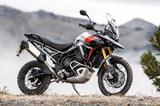 Triumph Tiger 900 Rally Pro 108PS TOP!