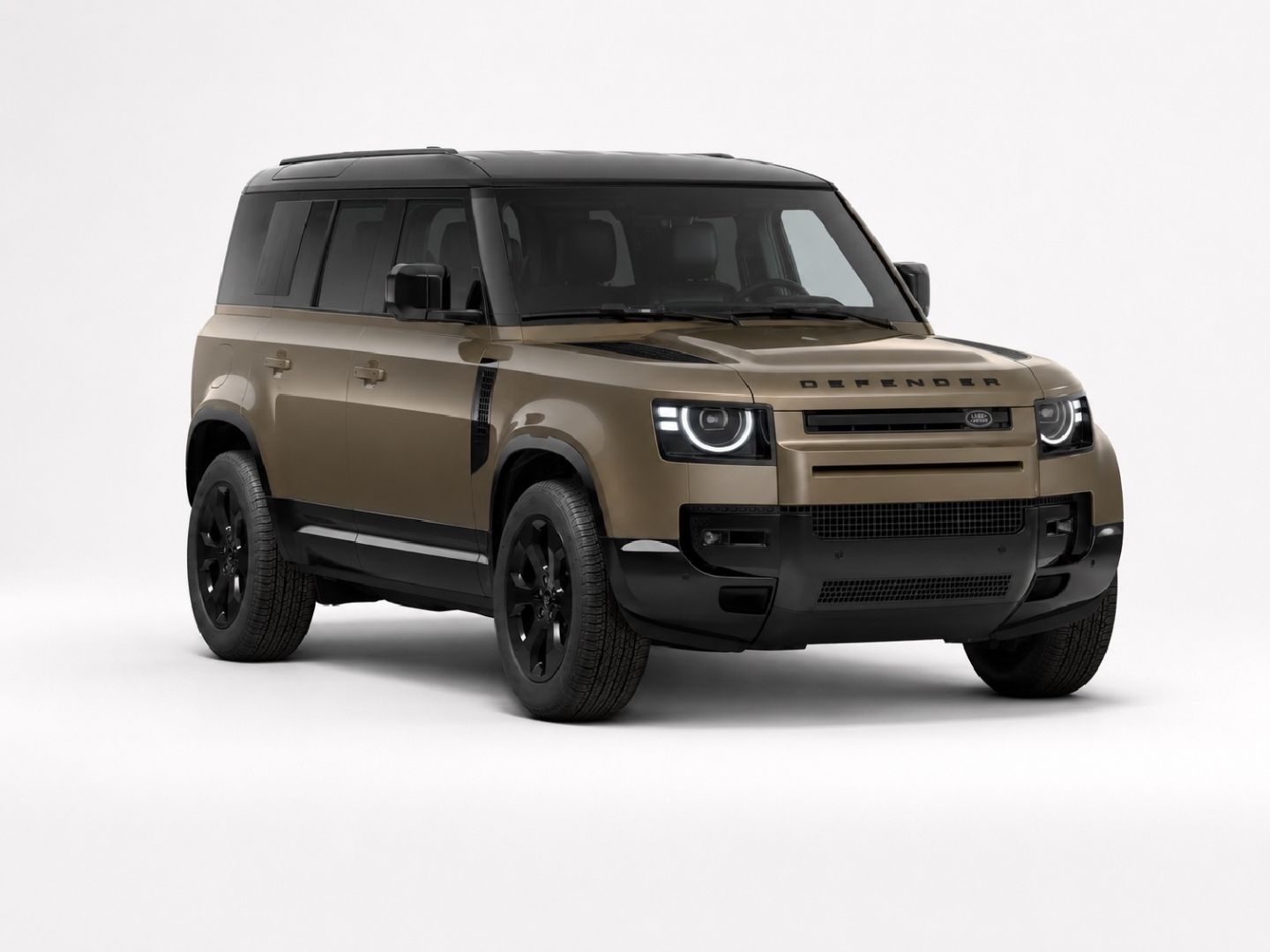 Land Rover Defender (VHC) 110 D250 X-Dyn. SE *Winterpaket* 