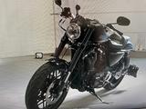 Harley-Davidson RoadsterXL 1200CX - HARLEY-DAVIDSON ROADSTER 1200
