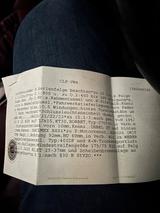 Volkswagen Vw Käfer Cabrio - Volkswagen Golf aus 1978