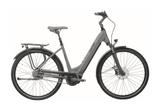 Falter E 9.4 FL Wave sublime grey, glossy 55 cm, 28" - Falter E-Bikes