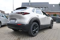 Mazda CX-30 - Vorschau Bild 2