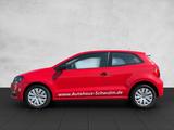 Volkswagen Polo V 1.0 *Trendline* App Connect/Touch - Volkswagen Polo: V Trendline
