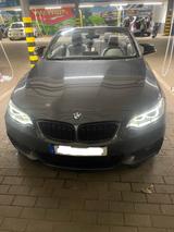 BMW 220i Cabrio M Sport, Radio Professional, Harman  - BMW: Navigationssystem, Professional