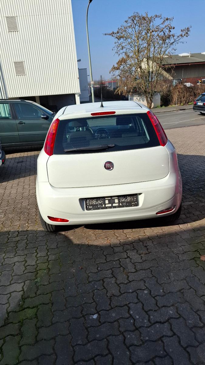 Fiat Punto Basis      " Modelljahr  2018 "