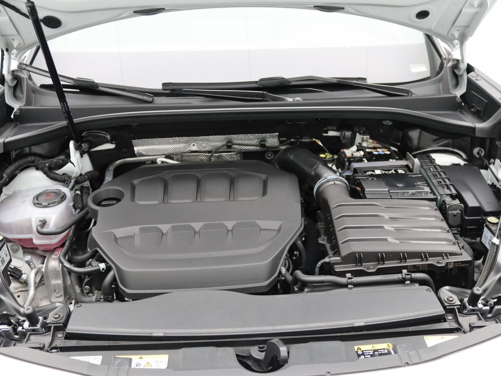 Cupra Terramar - Bild 17