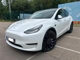 Tesla Model Y Performance Dual Motor AWD Performance
