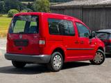 Volkswagen Caddy Life Gewinner*I.HAND*KLIMAAUT* - Volkswagen Caddy: Gewinner
