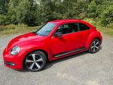 Volkswagen VW New Beetle - Sport Paket - VW New Beetle von privat