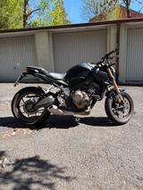 Honda CB 650 R Neo Sports Café mit Quickshifter - HONDA CB 650