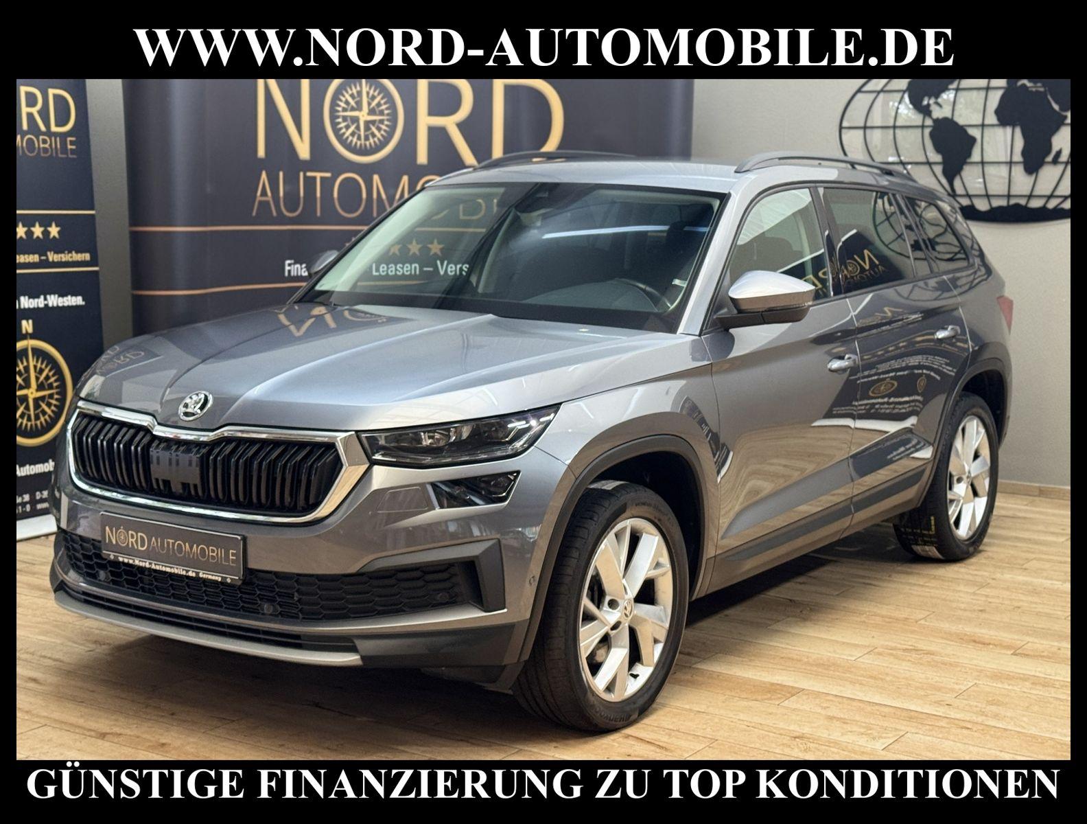 Skoda Kodiaq Ambition Tour 2.0 TDI DSG AHK/Matrix/19/