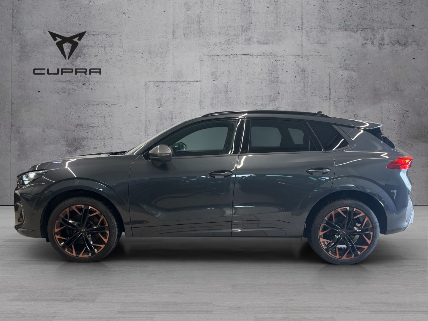 Cupra Terramar - Bild 4