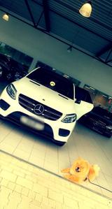 Mercedes-Benz Mercedes GLE 350 AMG LINE Motorschaden - Mercedes GLE 350 Unfallwagen