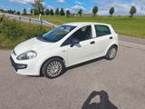 Fiat Punto 1,4l - gebrauchte Fiat Punto aus dem Jahr 2010