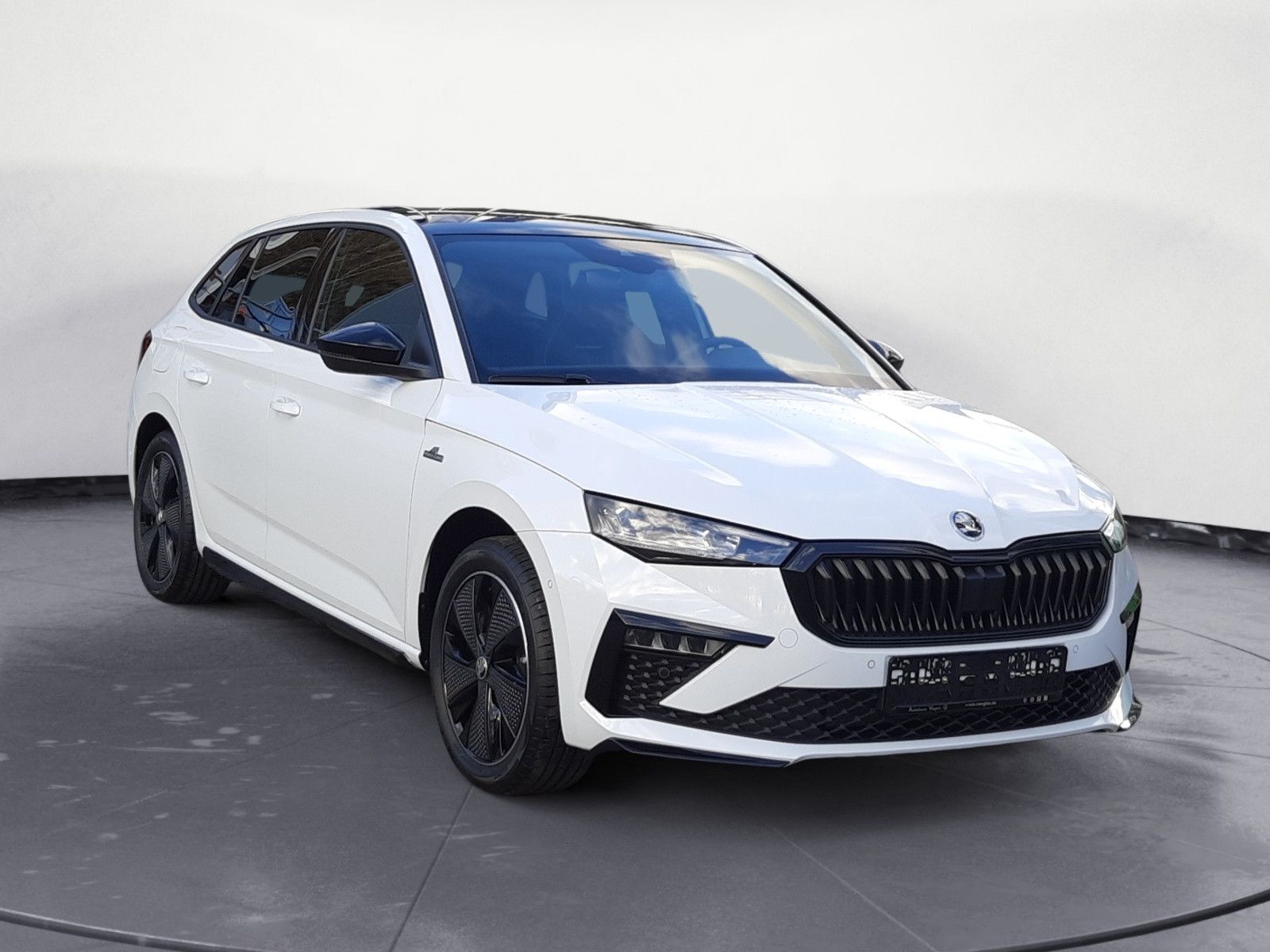 Scala Monte Carlo 1.5 TSI DSG Navi AHK PANO