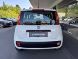 Fiat Panda 1.2 Lounge * Klima * Allwetter * TÜV 06.27 - Fiat Panda Gebrauchtwagen in Bielefeld