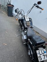 Harley-Davidson FXST Softtail für Liebhaber - HARLEY-DAVIDSON 1989