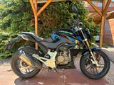Rivero Monza - RIVERO MOTORRAD