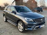 Mercedes-Benz ML 350-Pano-Standh-Airmatic DC-Nappaleder - Mercedes-Benz: Airmatic Ml
