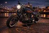 Harley-Davidson Softail Evo Springer Custom