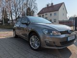 Volkswagen VW Golf 7 - Modell  1.2 TSI BMT CUP - Volkswagen: Beige
