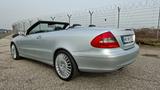 Mercedes-Benz Bi-Xenon Kompres. Avantgarde+Sportpaket 71.000km - aus 2006: Cabrio