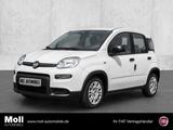 Fiat Panda Mild Hybrid City Paket  Gelato Weiß