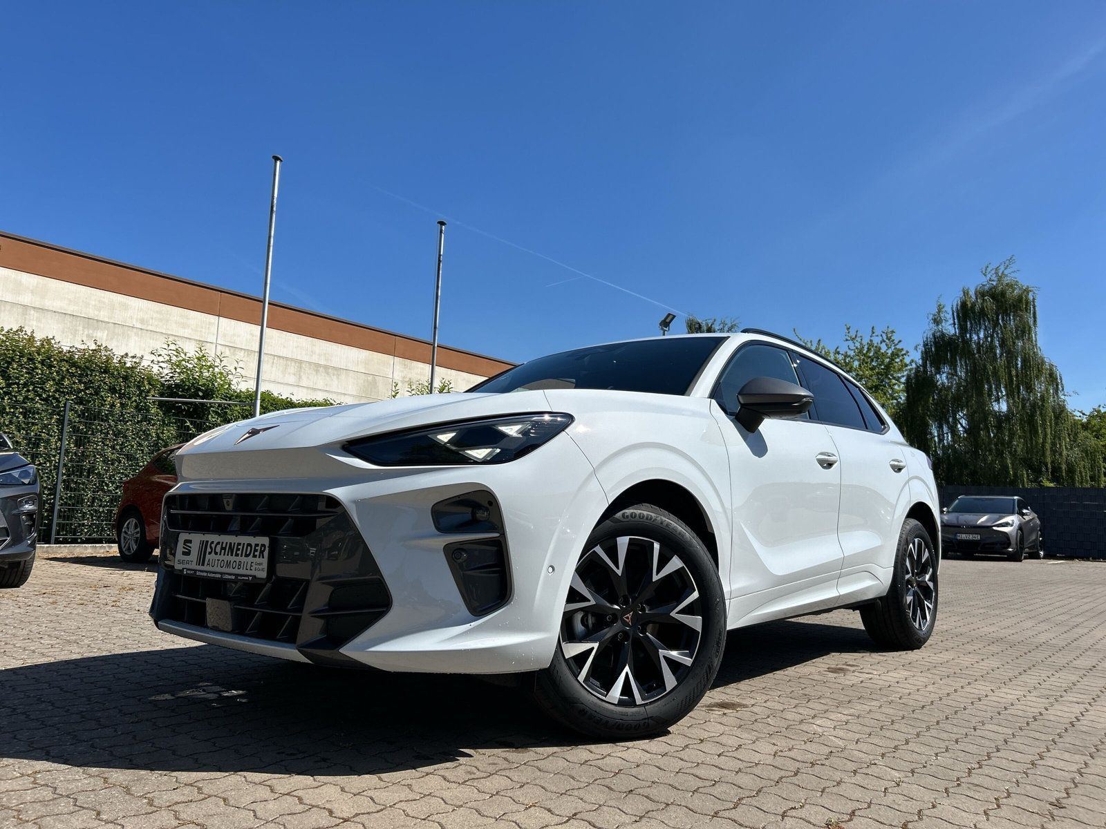 Cupra Terramar - Bild 9