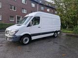 Mercedes-Benz Mercedes Sprinter 313 CDI L2H2 LKW KASTEN ... - Mercedes-Benz Sprinter: Lkw