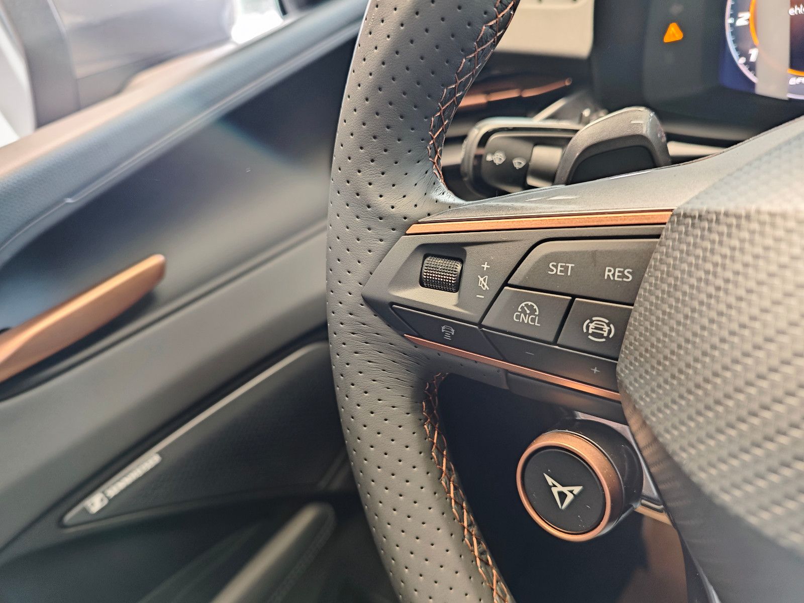 Cupra Terramar - Bild 10