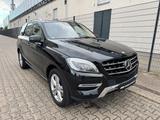 Mercedes-Benz ML 500 4Matic AIRMATIC/PANO/360°/H&K/STANDHEIZ - Mercedes-Benz Ml